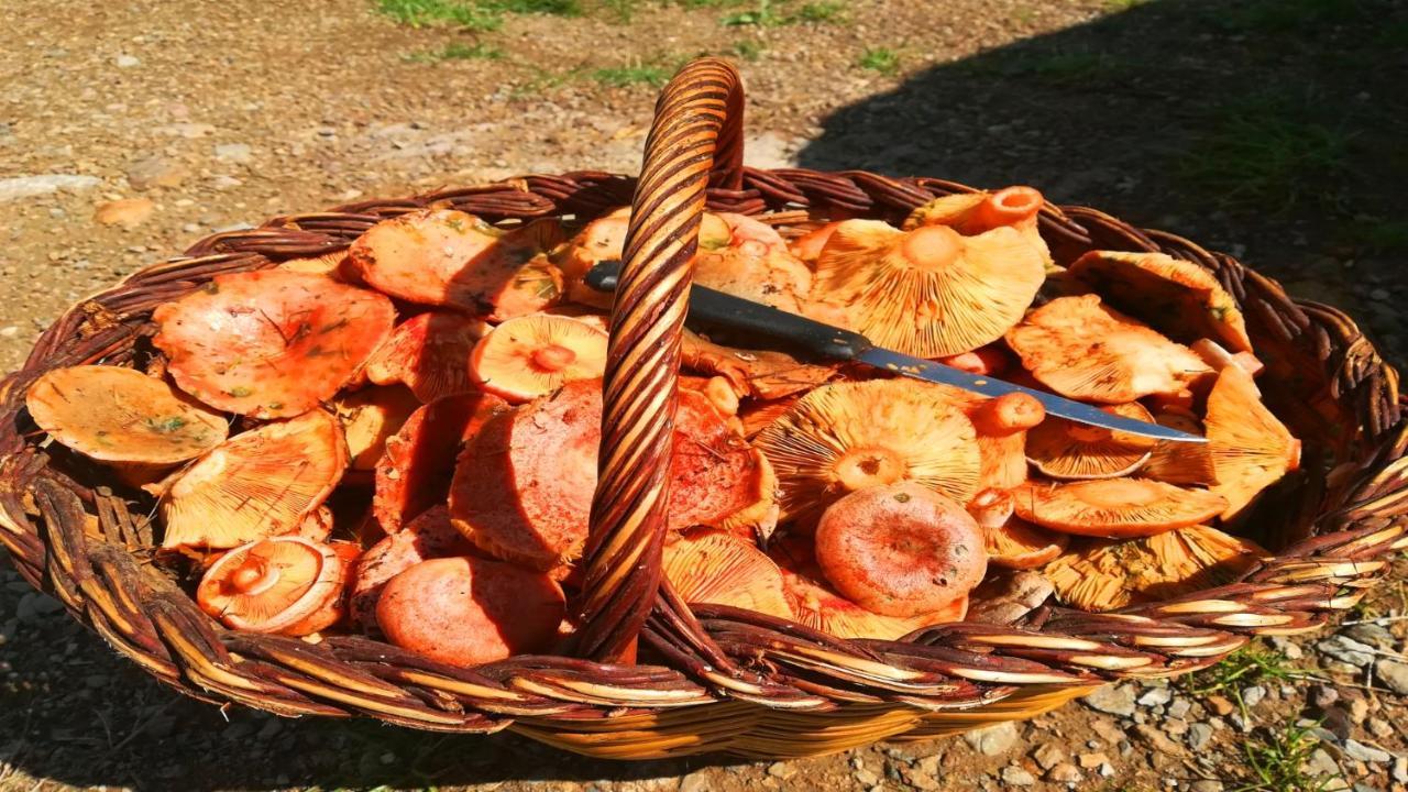 Allotjaments Cal Llarg 몰로 외부 사진